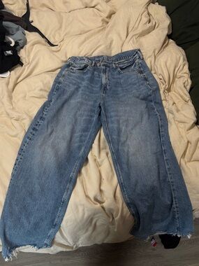 American Eagle Outfitters Light Blue Wide Leg Jeans